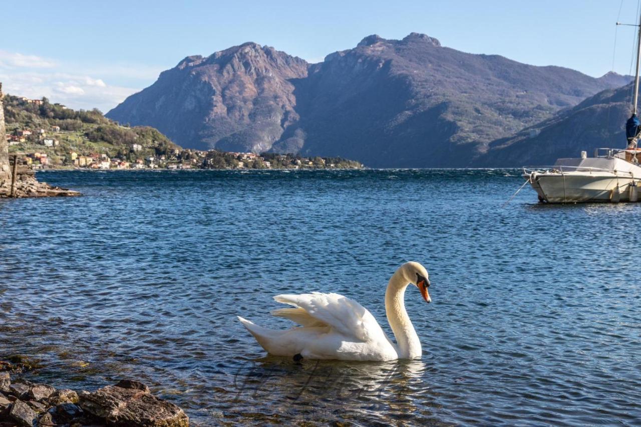 -Appartamento Il Molo- A Due Passi Del Lago Lierna Dış mekan fotoğraf